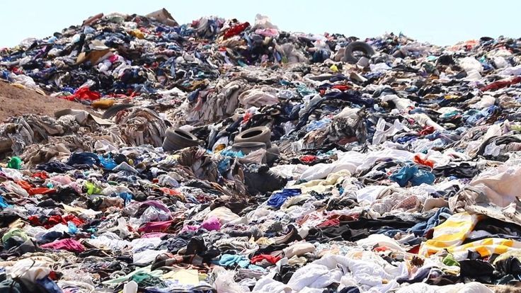 Recycling Matters Image 
